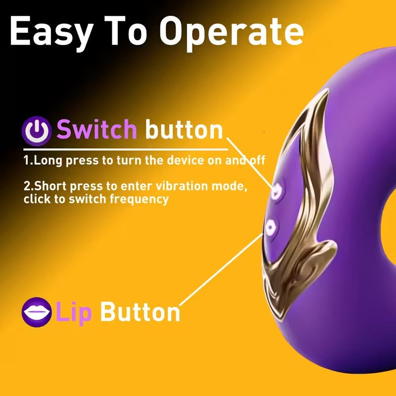 Massager ToyCase